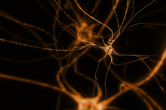 Neurons with synapses