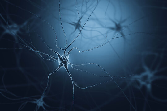 Neurons illustration