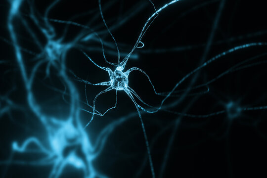 Anatomy background with neuron cells
