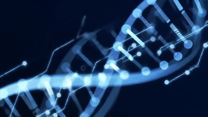 DNA structure and digital network background for science and technology concept - Powered by Adobe