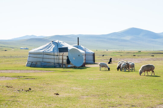 Yurts and sheep in the Terrelj Region of Mongolia.