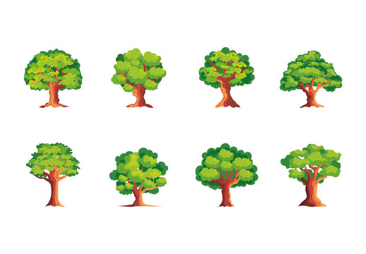 Green And Brown Oak Nature Forest Botanical Tree Illustrations Set
