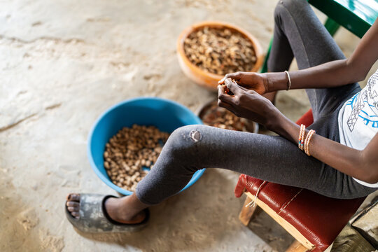 Senegalese worker shelling peanuts in a factory in Senegal, Africa