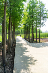 The road of City Park in China