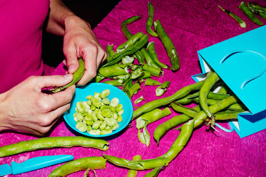 man shells some broad bean pods sitting at a table