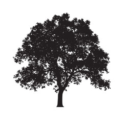 Fototapeta premium Tree of Life Oak Silhouette