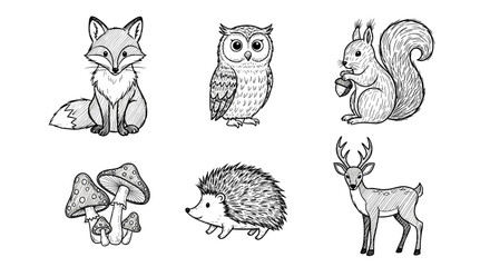 Obraz premium Illustration of a fox, owl, squirrel, mushrooms, hedgehog, and deer in black and white sketch style