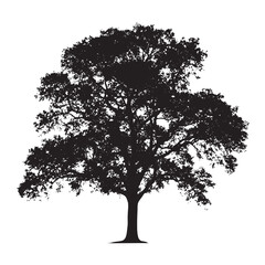 Vector Silhouette of an Oak Tree