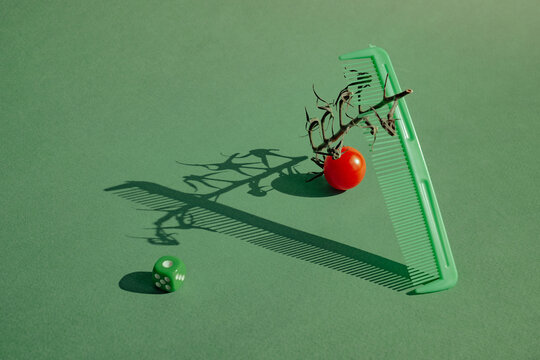 Art Playful arrangement of objects creates intriguing shadow patterns