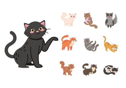 Colorful Cute Cats Adorable Kitten Animal Illustrations Set