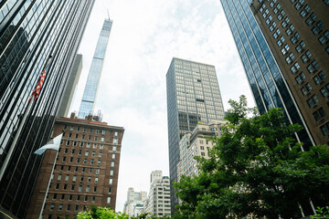 Urban towers stretch high behind bushes and plants in Midtown Manhattan. The frame captures vertical growth and greenery together.