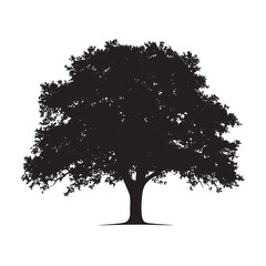 Fototapeta premium Decorative Oak Tree Silhouette