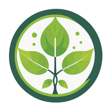 A single green leaf surrounded by a circular orbit