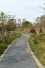 walkway in the modern city