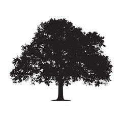 Fototapeta premium Foliage Oak Tree Vector Black