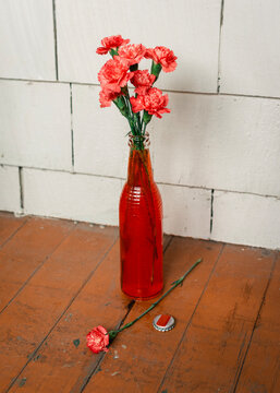 Carnations in Red Soda