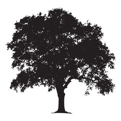 Landscape Oak Tree Silhouette