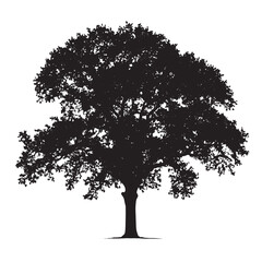 Lone Oak Tree Silhouette Black
