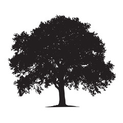 Lush Oak Tree Silhouette Drawing