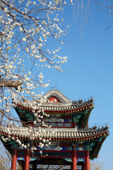 Flowers framing the Willow Bridge and pavilions of the Summer Palace