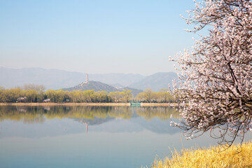 Beijing Summer Palace lakeside spring scenery with blooming flowers framing the Jade Spring Hill and Jade Peak Pagoda.