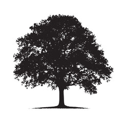 Fototapeta premium Minimalist Oak Tree Black Silhouette