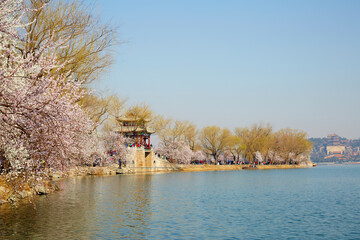 Beijing Summer Palace West Causeway spring scenery featuring ancient architecture and peach blossoms