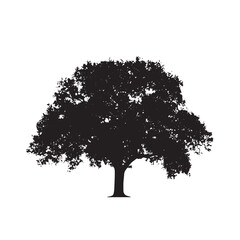 Oak Tree Contour Silhouette Design
