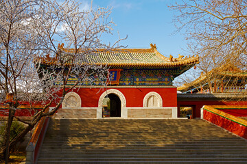 Beijing Beihai Park Chanfu Temple spring scenery.