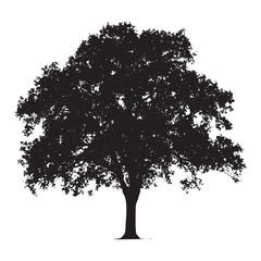 Fototapeta premium Single Oak Tree Silhouette Drawing