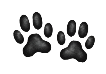 Two black paw prints isolated on a black background.