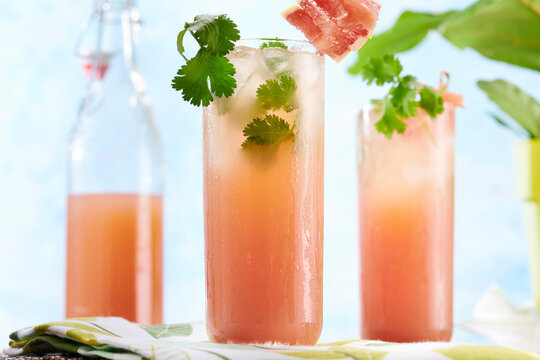 Delicious Grapfruit Cocktails in Tall Glass 