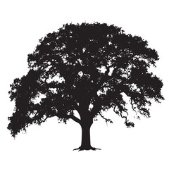 Fototapeta premium Strong Oak Tree Silhouette Clipart