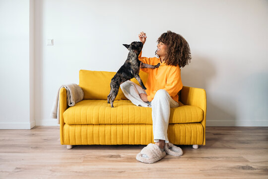 Young woman playing with her dog on a yellow sofa at home