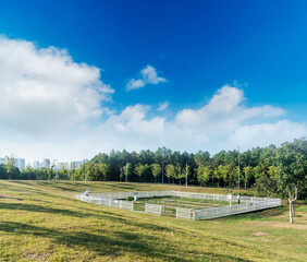 Beautiful panorama of green city park