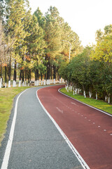 New pathway and beautiful trees track for running or walking and cycling relax in the park