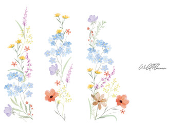 Colorful meadow wildflowers watercolor botanical background frame. Spring and summer Background watercolor arrangements with small flower. Botanical illustration minimal style.