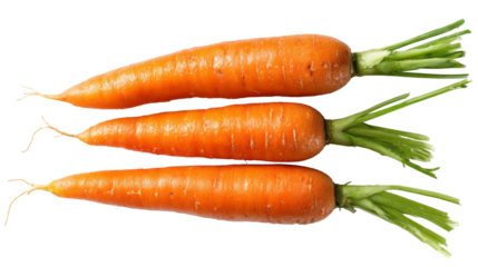 fresh carrots arranged in a row isolated, transparent background	
