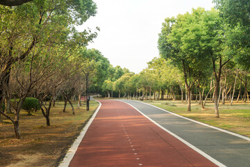 New pathway and beautiful trees track for running or walking and cycling relax in the park