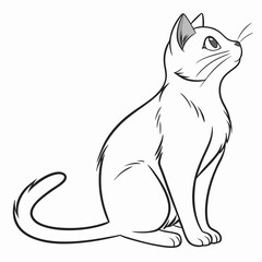 cat vector image