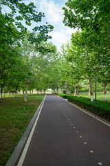 New pathway and beautiful trees track for running or walking and cycling relax in the park
