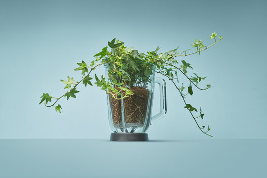 Eco plant with roots growing in soil inside plastic blender jar
