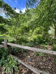 Spring in full bloom