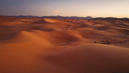 Fototapeta na wymiar The barrenness of the desert