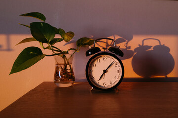 Morning Light Casts Shadows on a Vintage Clock