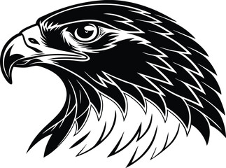 Eagle head vector illustration black and white bird, Falcon head silhouette vector illustration