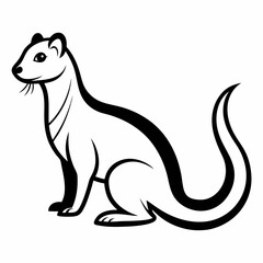 Ferret on white background 