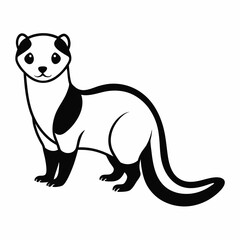 Ferret on white background 