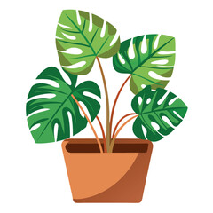 Illustration of a monstera plant in a terracotta pot indoors