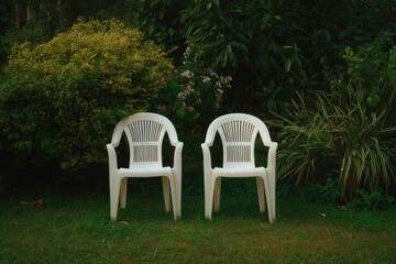 Two white plastic chairs sit on a grassy lawn, flanked by lush green and yellow-green shrubbery, creating a tranquil garden scene
